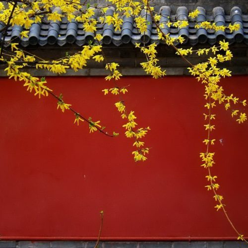 Red walls of the Forbidden City